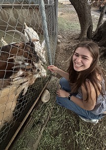 Reaching out to pet a goat through a chain-link fence at a farm